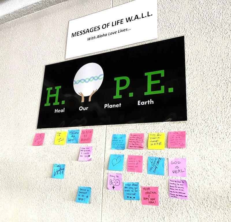 MESSAGES OF LIFE W.A.L.L. returns to the Pearl City Shopping Center in the spirit of H.O.P.E. - Heal Our Planet Earth